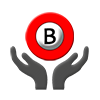 Braillo Support Services Braillo Support Services